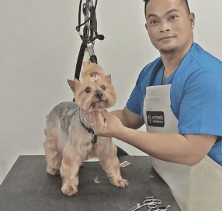 Victor shows of an adorable puppy with a professional, sleek haircut