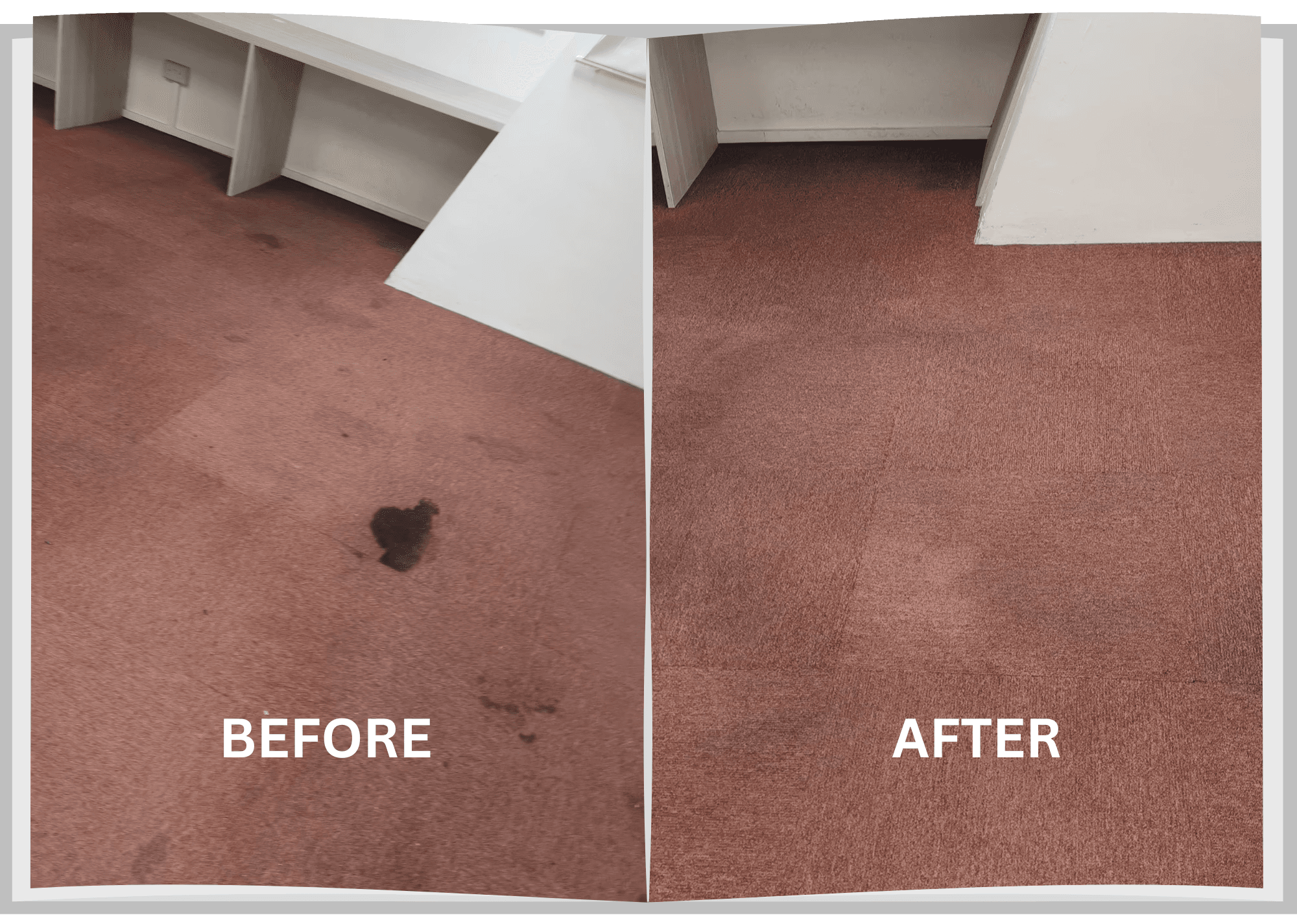Carpet Shampoo