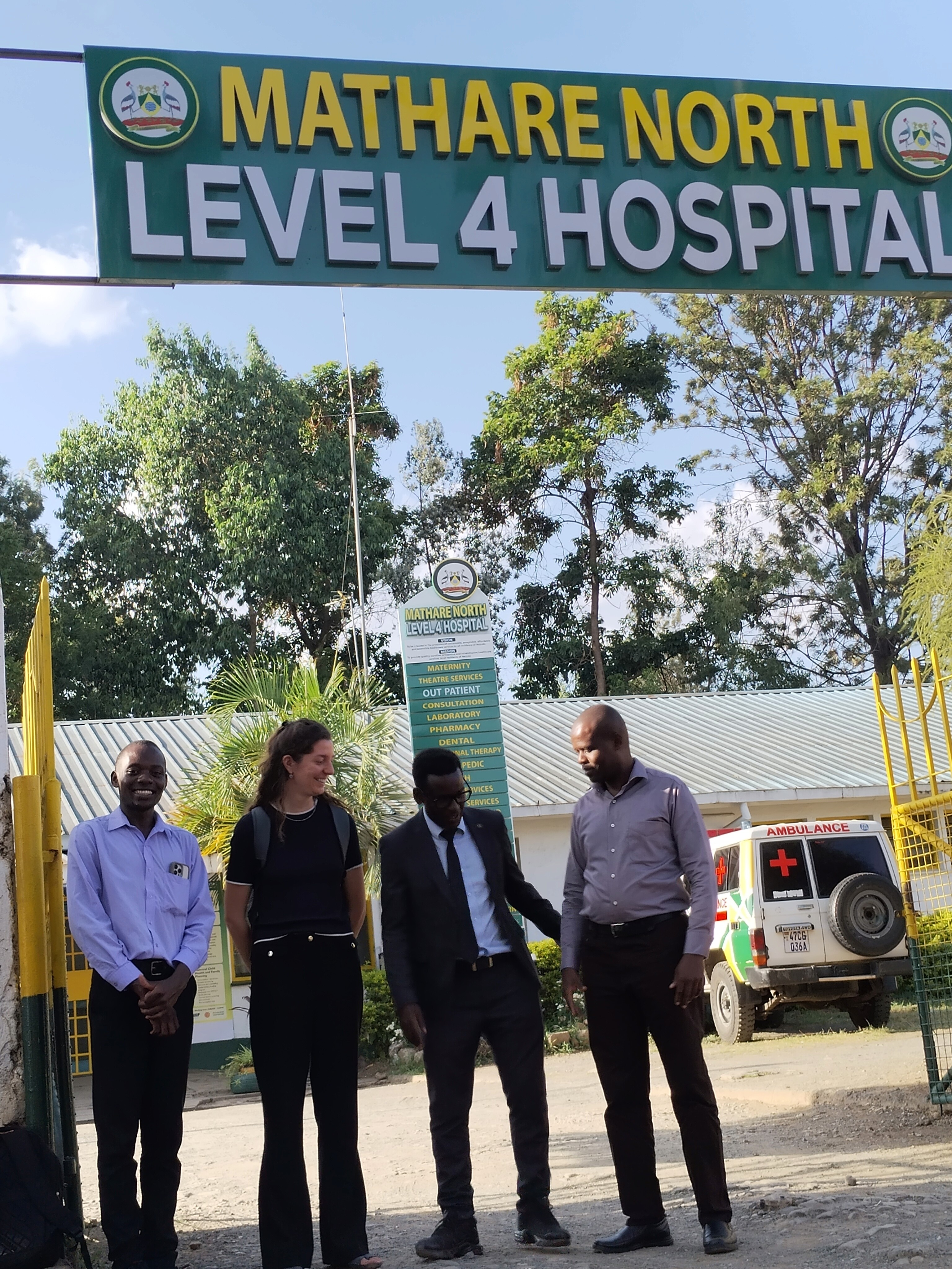 Close-up of a tree stump showing growth rings and a textured brown wood surface.