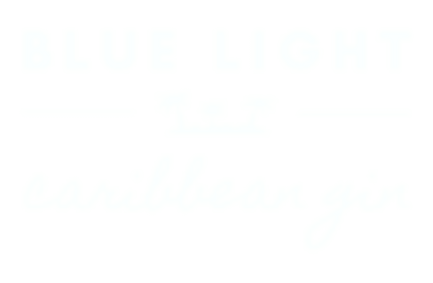 Partner Logo 08