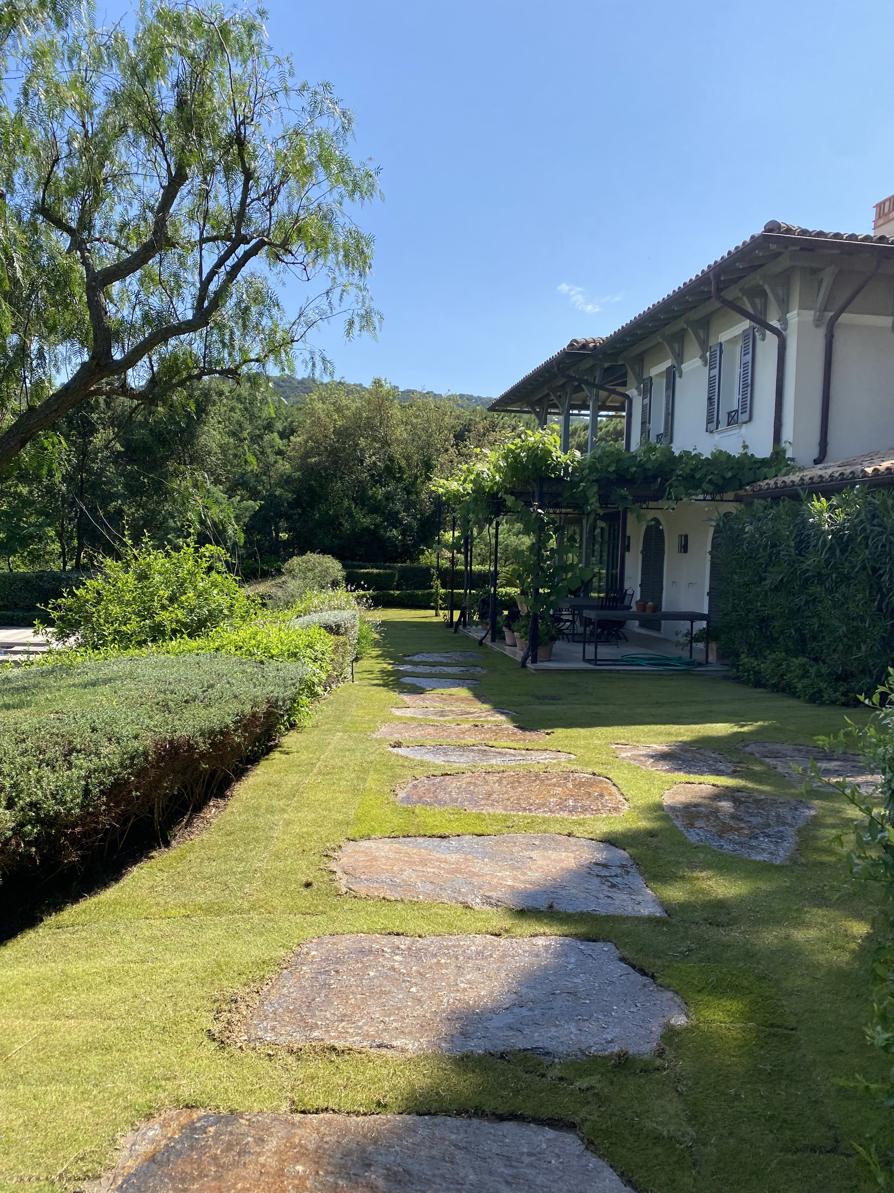 Aménagement d'entrée de bastide provençale avec allée en dalles et jardin méditerranéen - BML Paysages