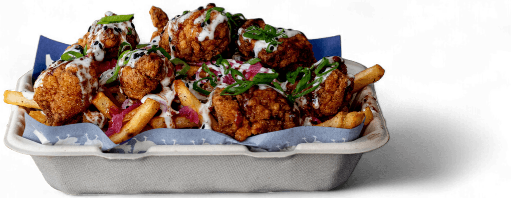 fried chicken spicy loaded fries.
