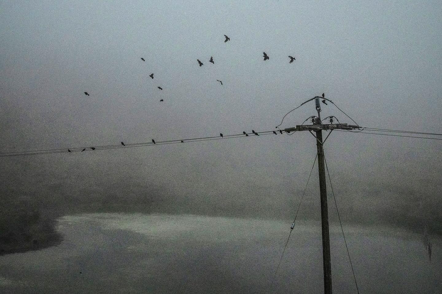 fall 2024. nikon z5. san jose, ca.