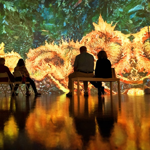 Immersive Van Gogh Las Vegas