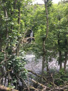 Golf course overview