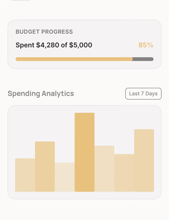 Kashpr mobile app on iPhone showing budget overview and insights