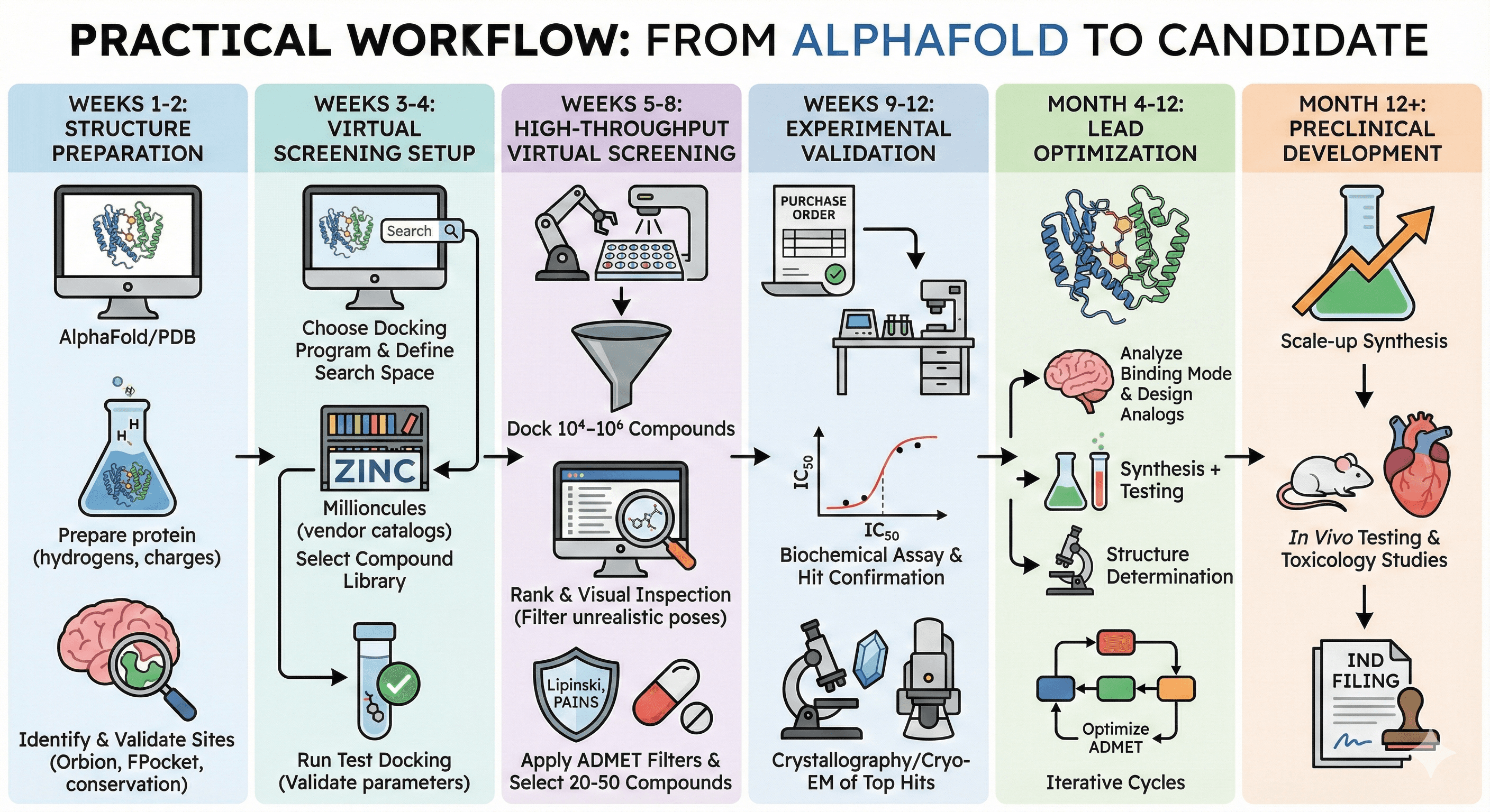 Image Diagram Showcasing Workflow from AlphaFold to Candidate