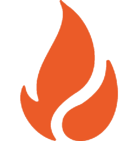 Company logo that hired professional