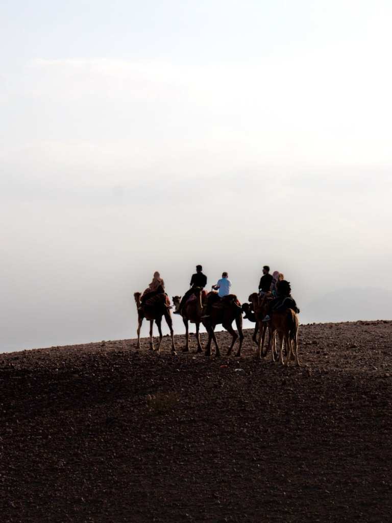 riding camels in the agafay desert