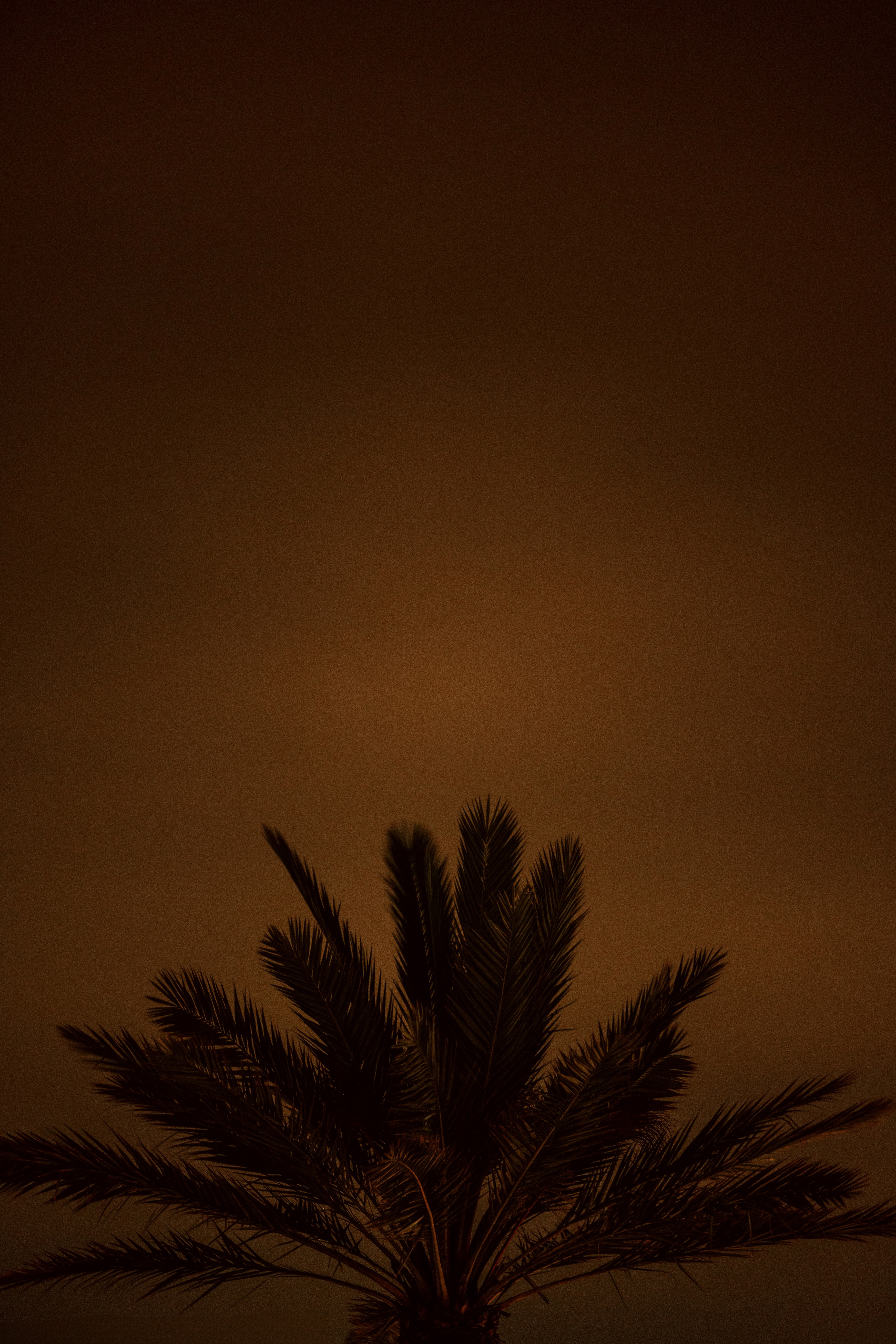 SEINT × 02 — image 61 of 61