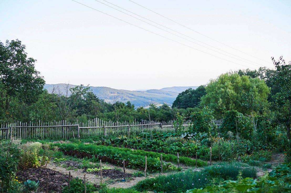 A young person with curly hair smiles at the camera while sitting in front of a laptop against a dark background.