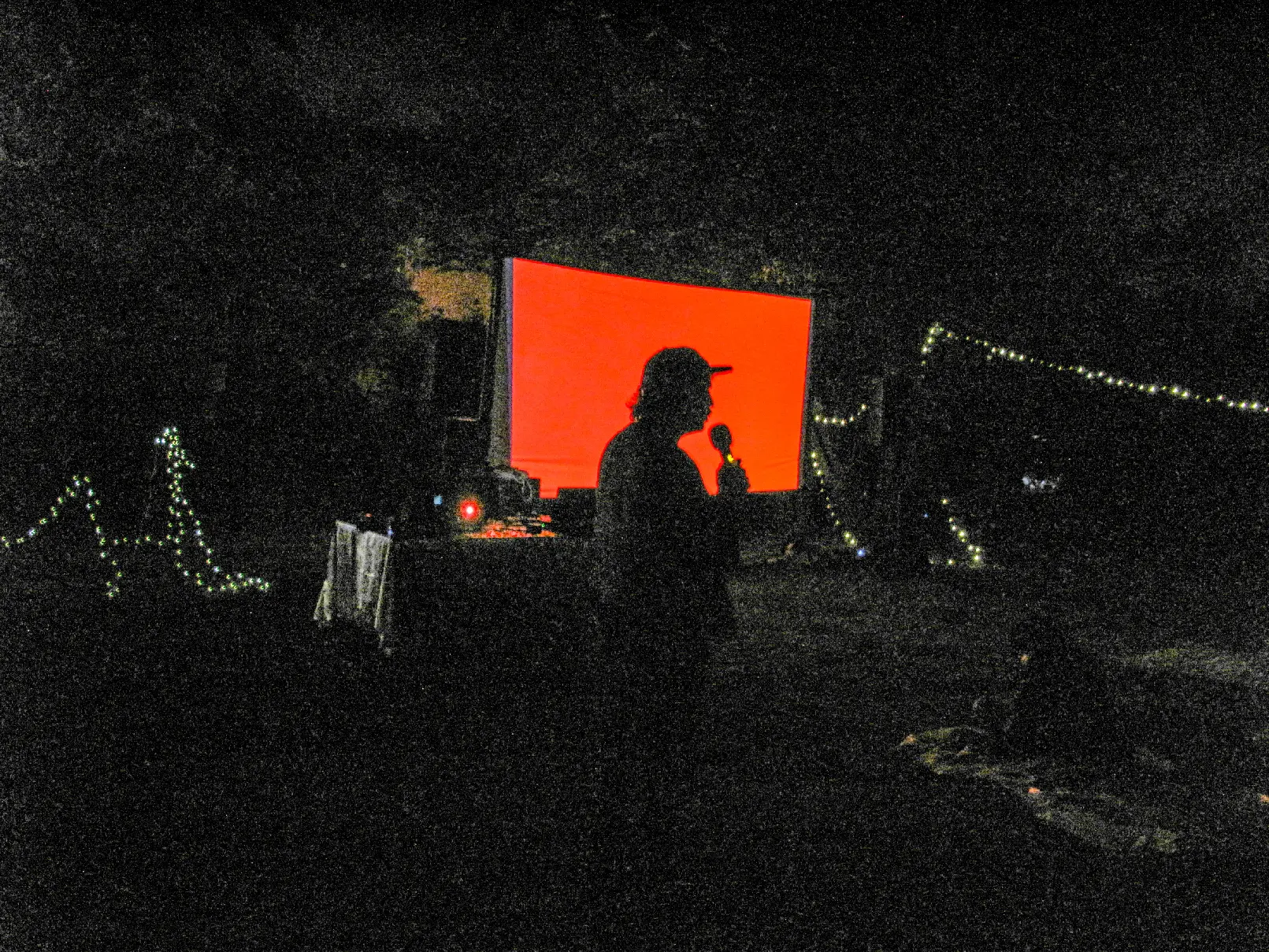 immagine band - Lupi Band