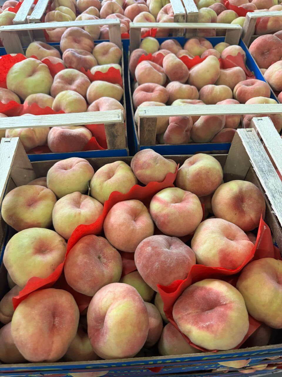 Symmetrical flat peaches, premium wholesale packaging.
