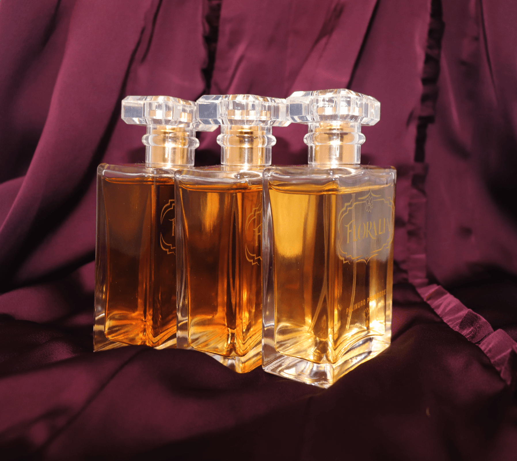 Large Project Gallery Image #1