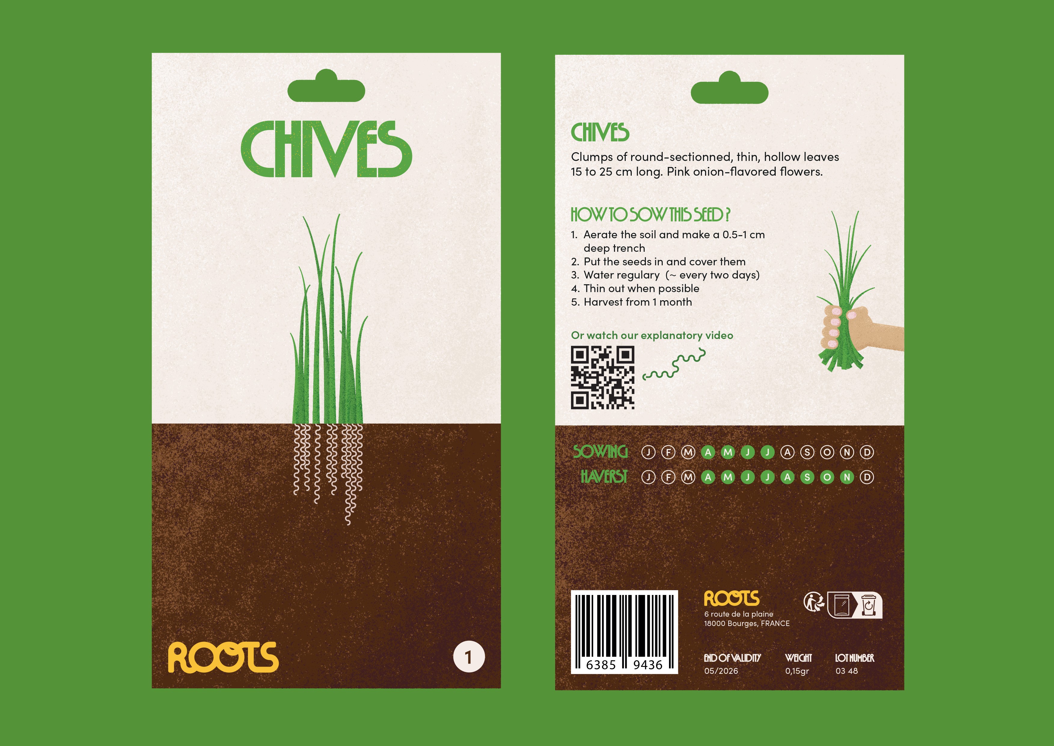 Sachet graines de ciboulette