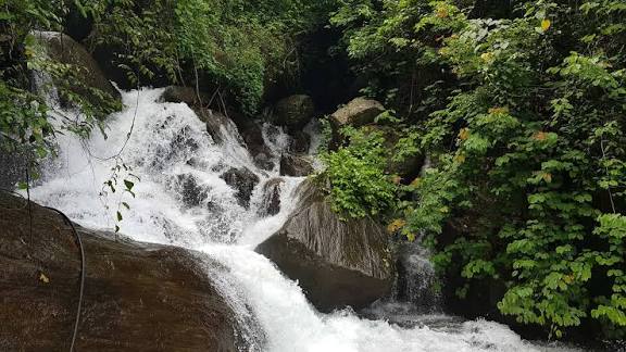 Best Waterfalls to Visit in and Around Kuttikkanam