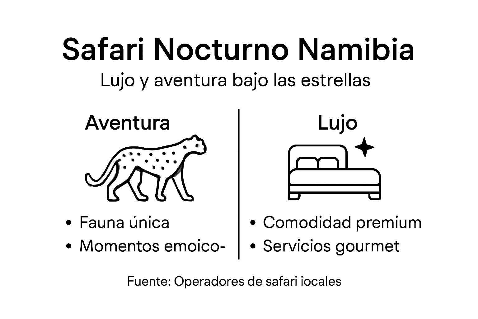 Infografía: principales ventajas de realizar un safari nocturno en Namibia