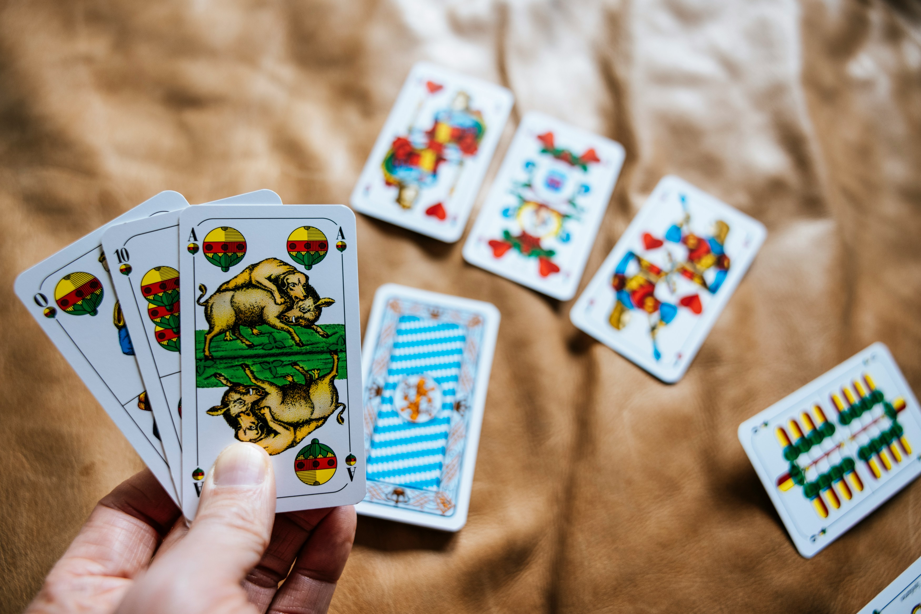 traditional german games, germany cultural games, german board games history, menschaergere dich nicht game, german card games skat, german card games mau mau, german traditional sports, bosseln germany tradition, kegeln germany bowling, german festival games, german outdoor games, german heritage games, german family games, classic german games, german traditional childhood games, german pub games, regional german games, bavarian finger wrestling, german traditional activities, germany cultural traditions games, german folk games, history of german games, traditional play germany, german community games, german cultural legacy games, german old games, germany game culture, german board and card games, german historical games, german local traditions, germany heritage sports