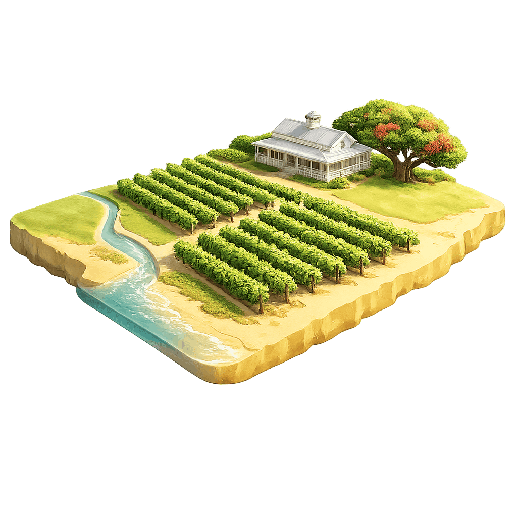 Artistic illustration of the Gisborne wine region.