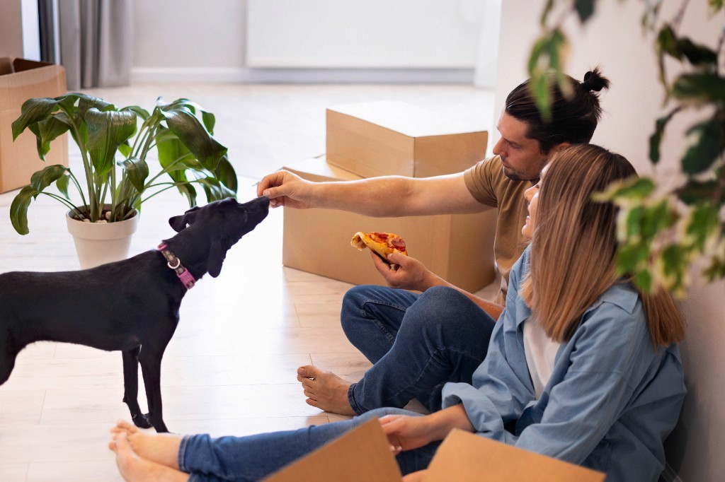 Couple with moving boxes and a black dog