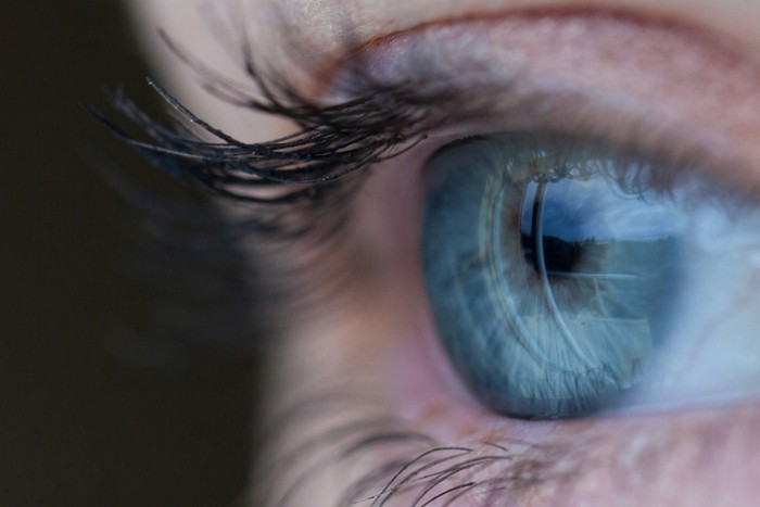 eyeball | The science behind good web design