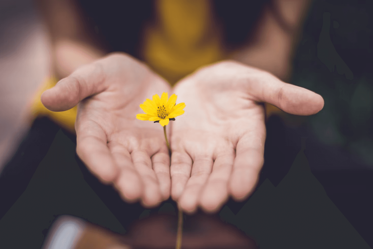 Gridum Cosmorium Screenshot