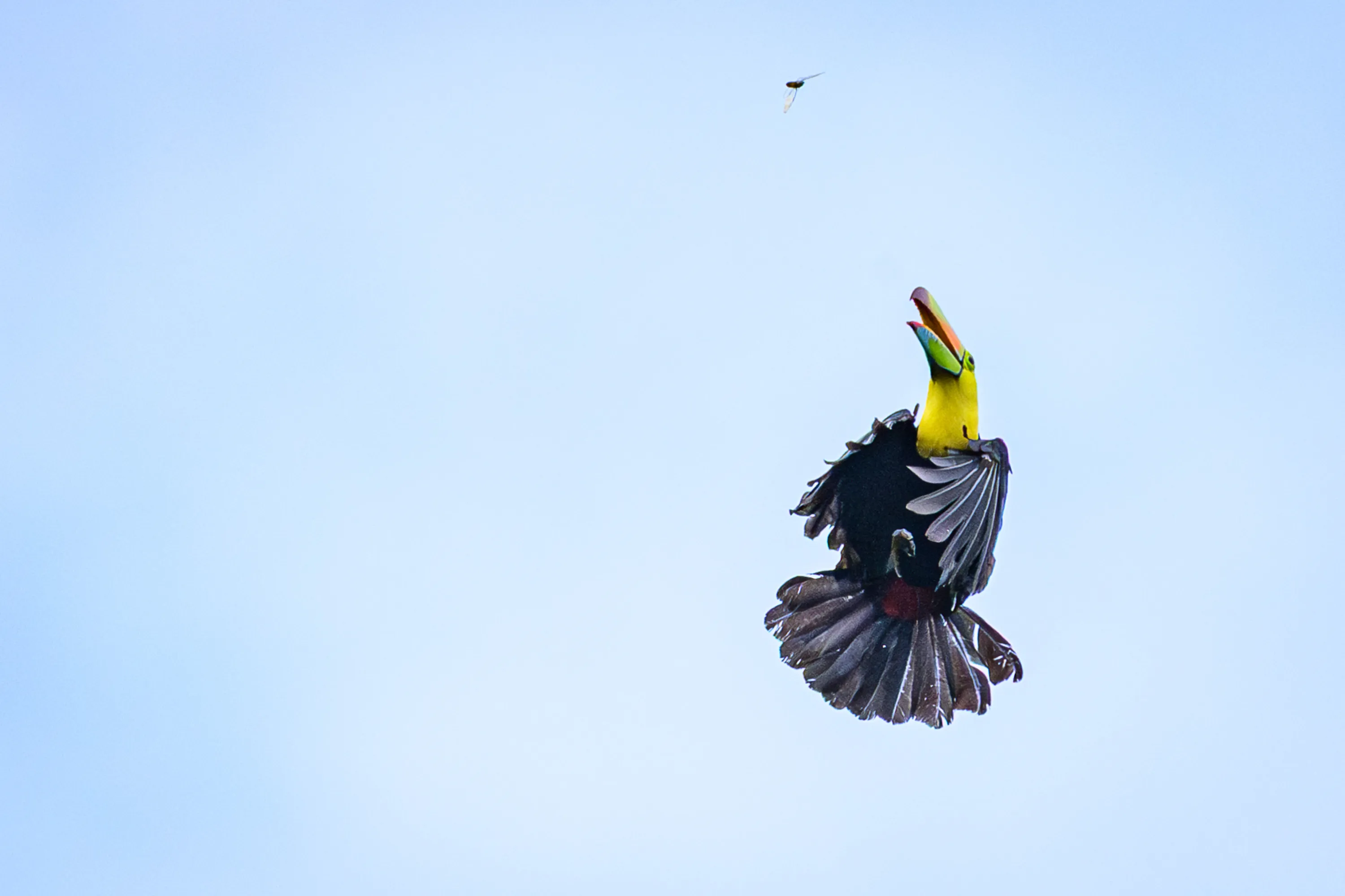 Wilderness & Wildlife 10