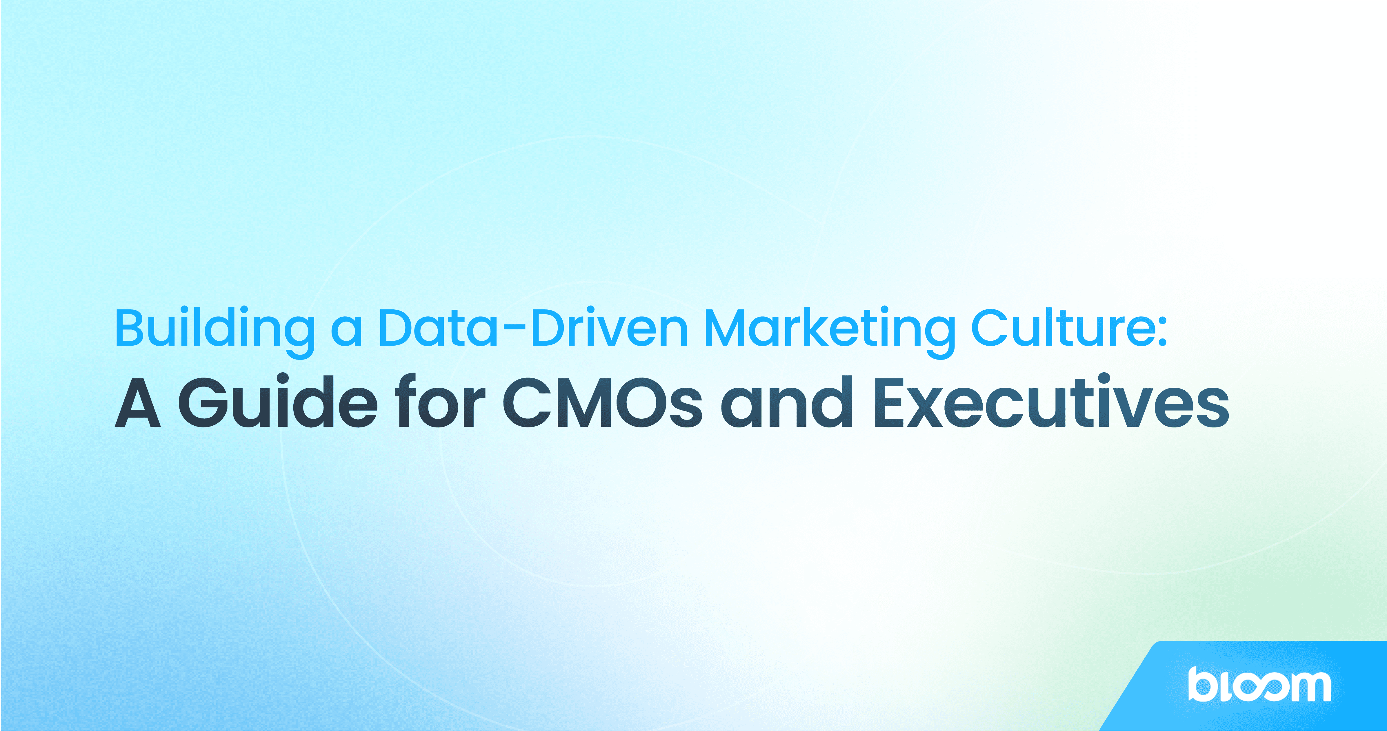 building-data-driven-marketing-