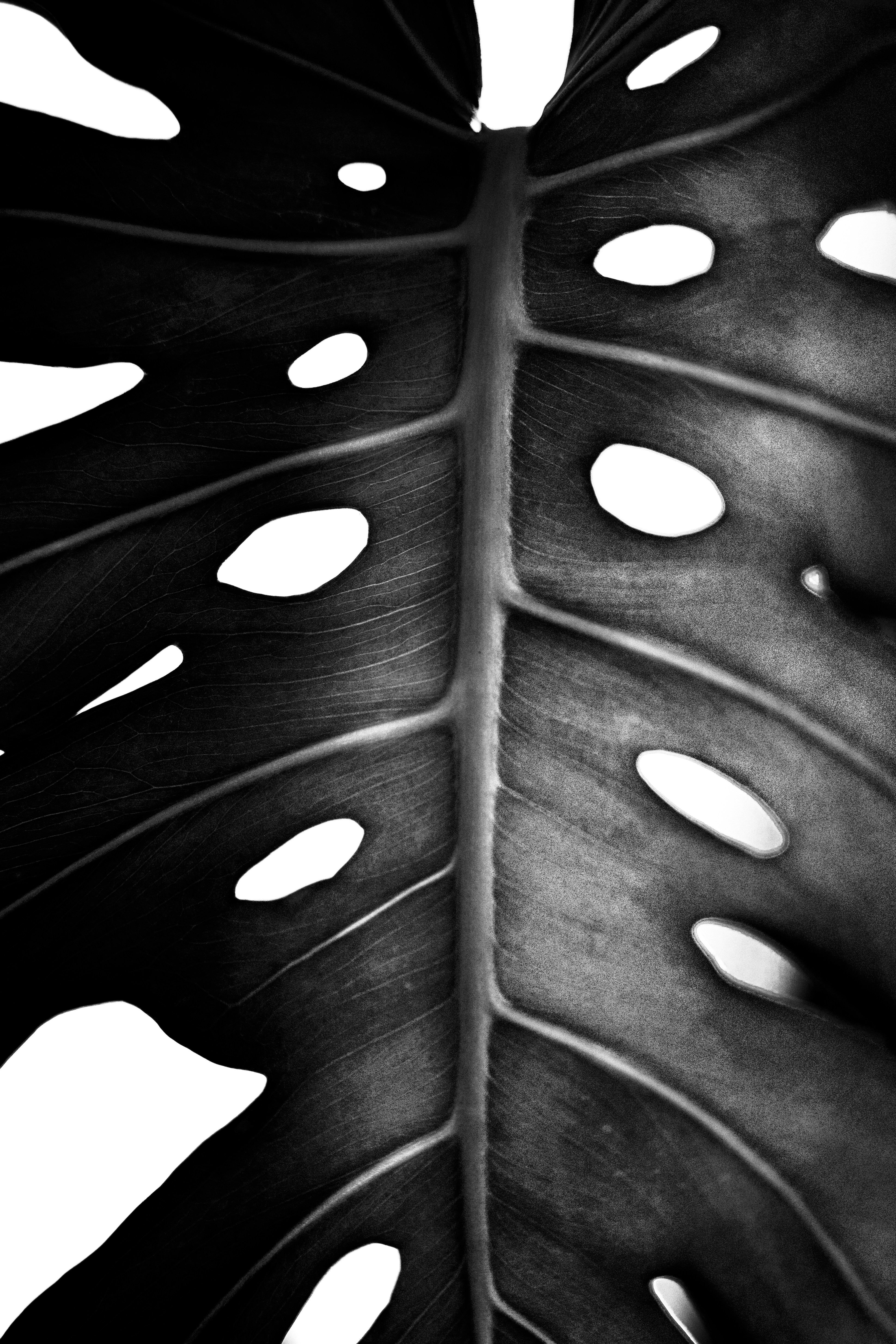 water droplets on brown wooden surface
