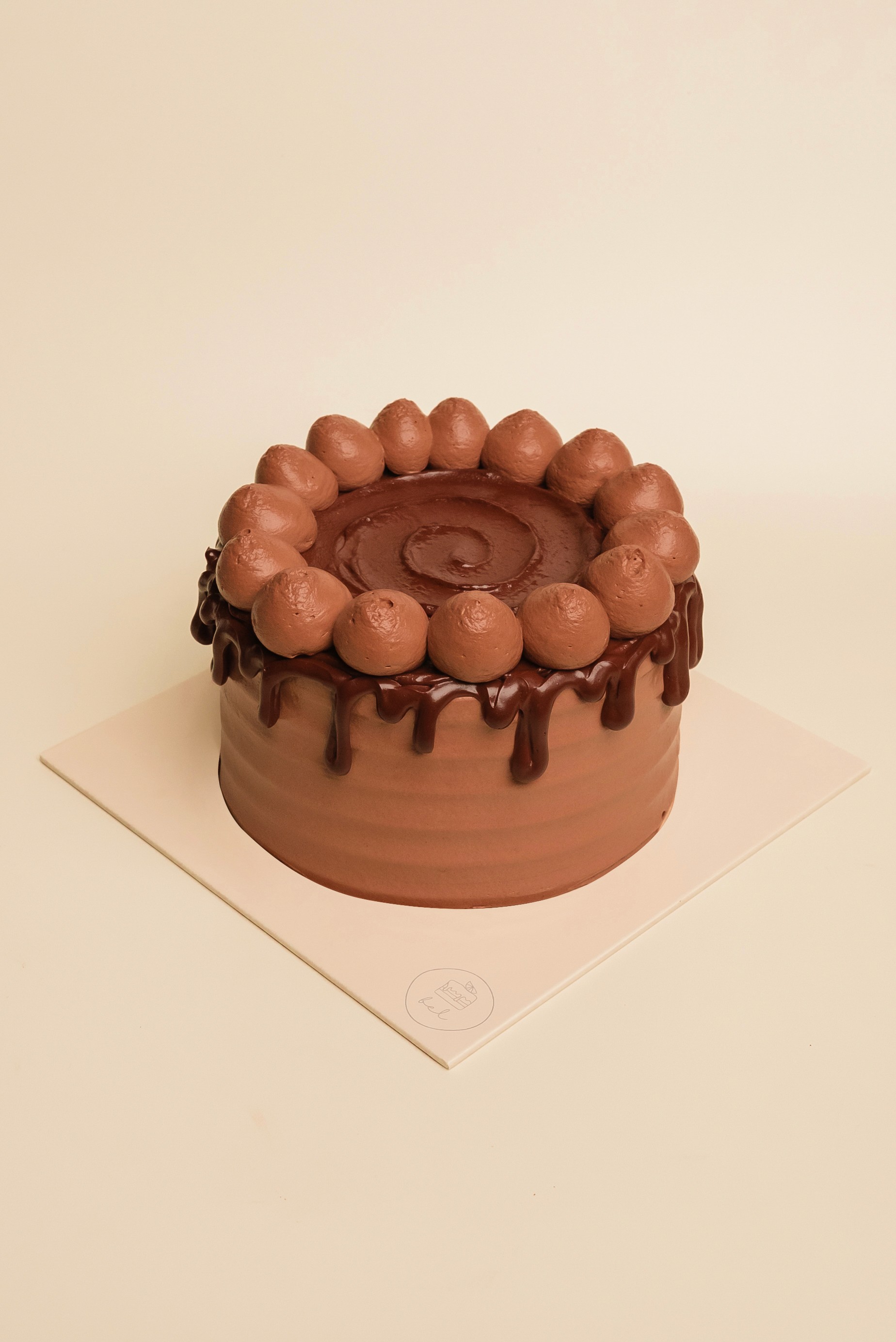 Wholly Chocolate Cake Bel Bakes