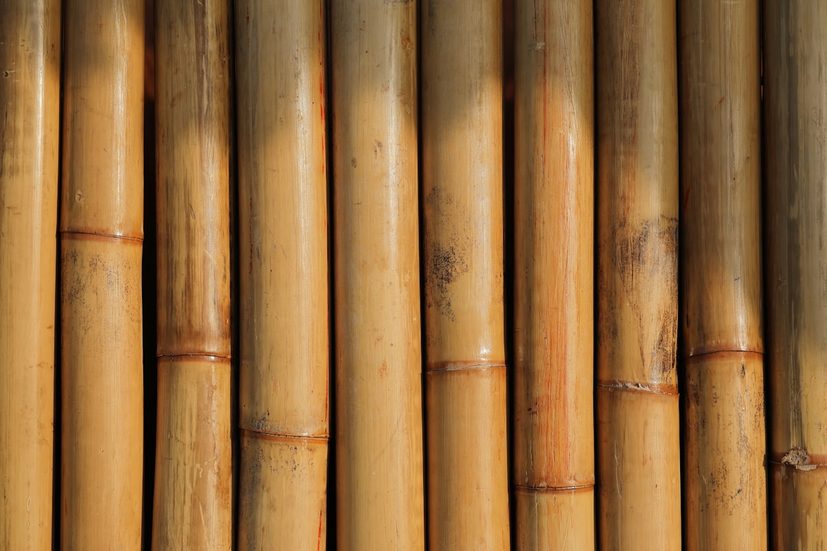 Bamboo material detail showing its natural structural character.
