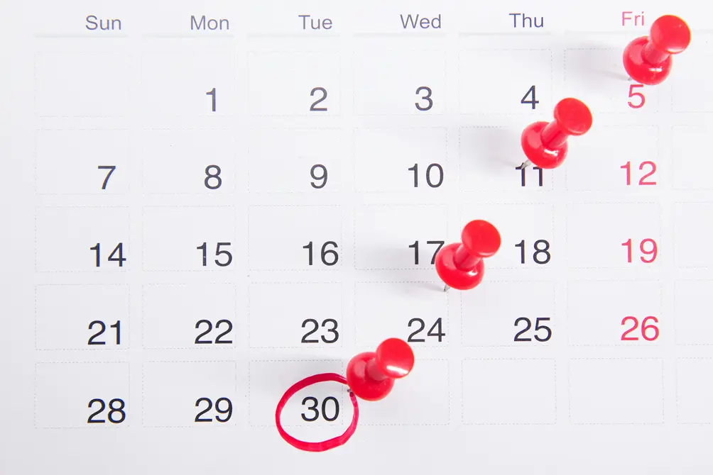Marked calendar with red pins, symbolizing key dates in a white label agreement.