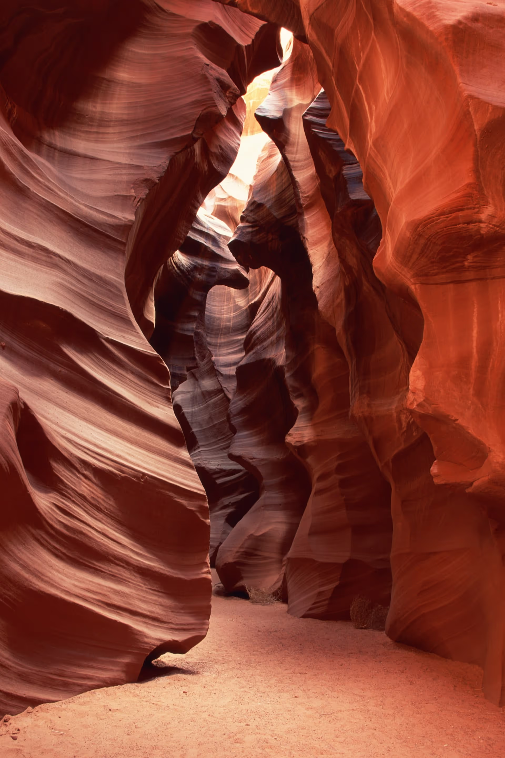 AC of Arizona case study - Twelverays