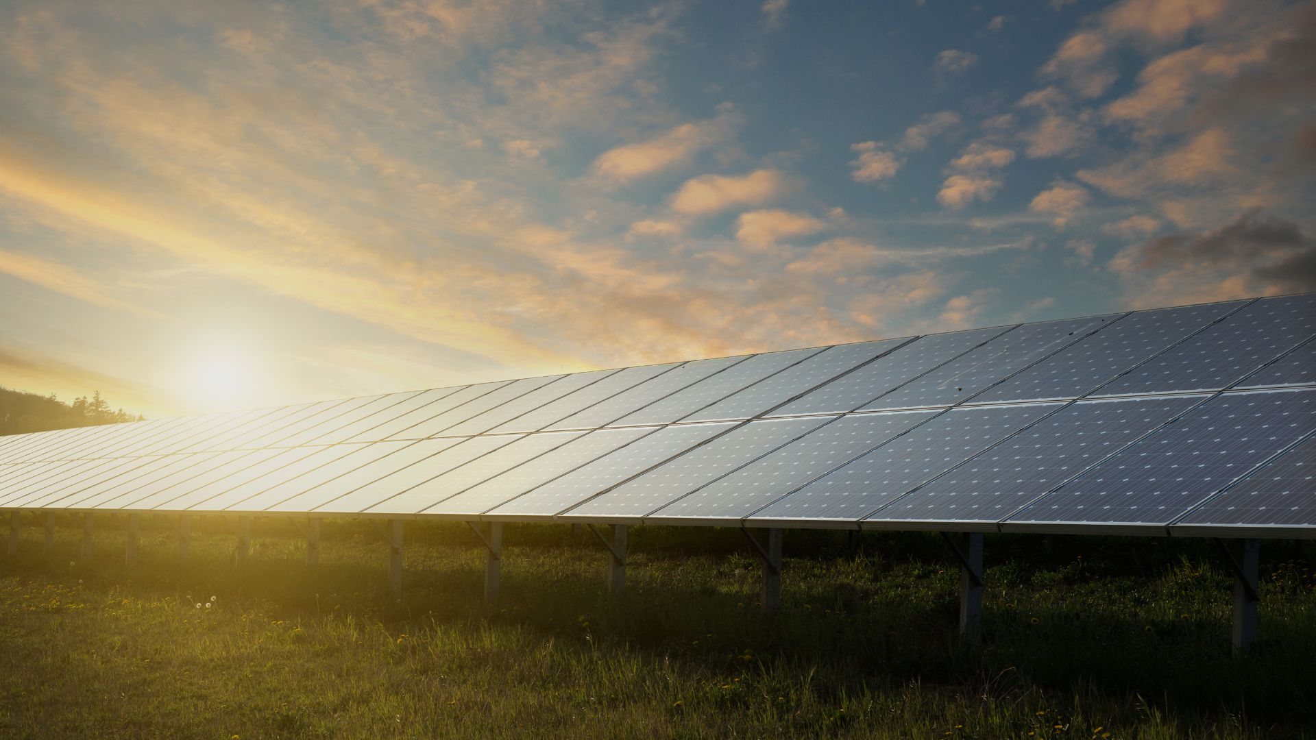 Emaldo by WATTI tarjoaa tehokkaat, puhtaat energiaratkaisut