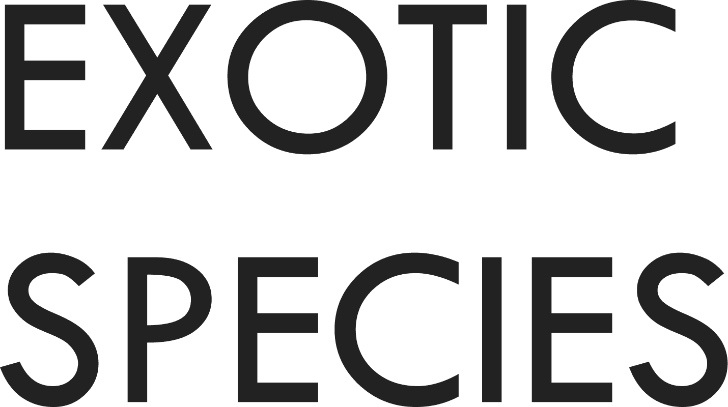 Expo's brand identity logo