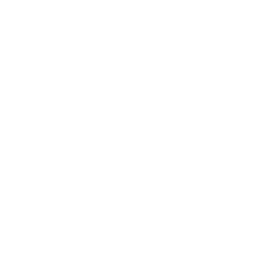 Grey metallic flower shaped object