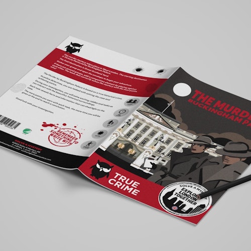 谜团的前因后果。