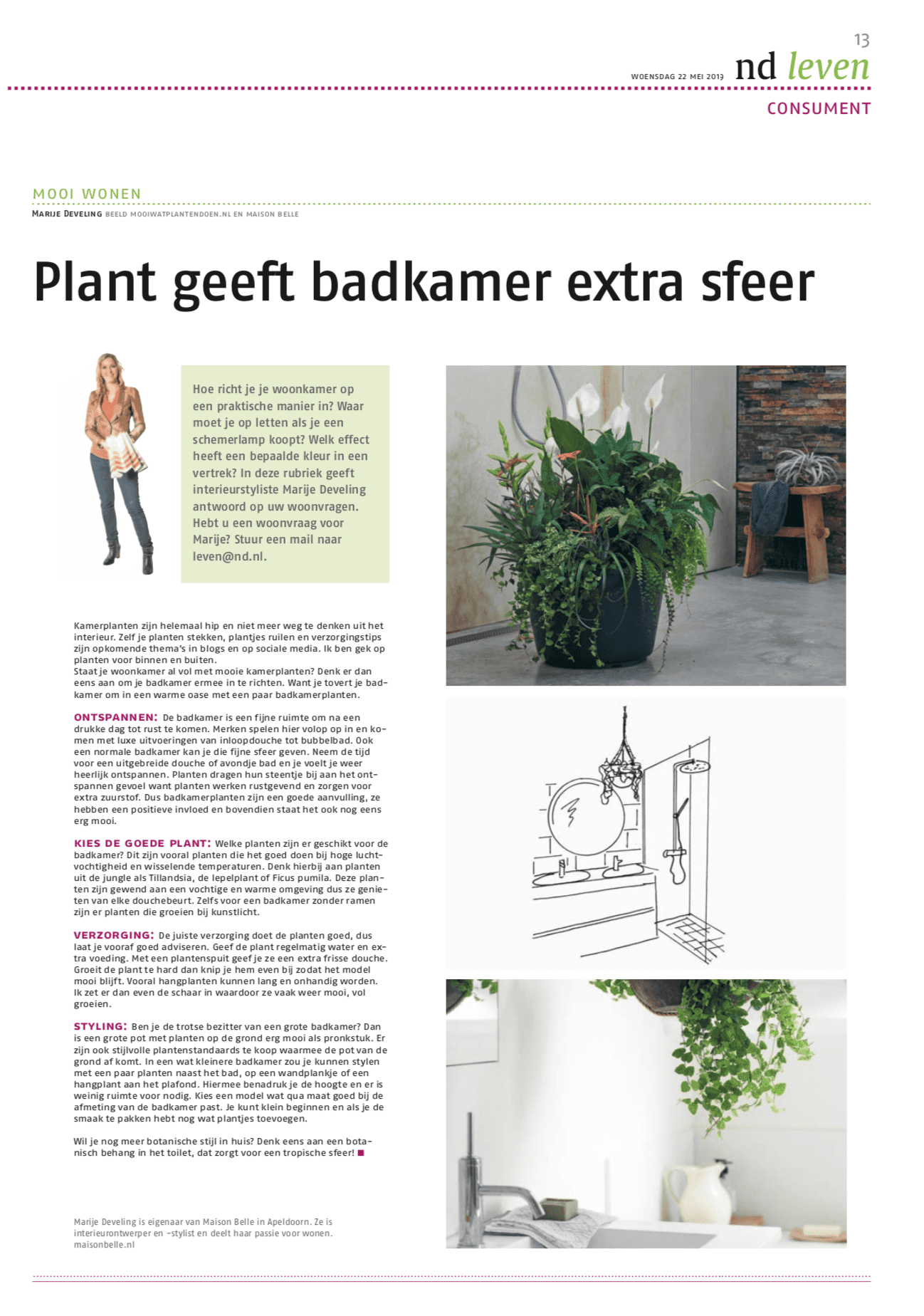 planten in de badkamer tips