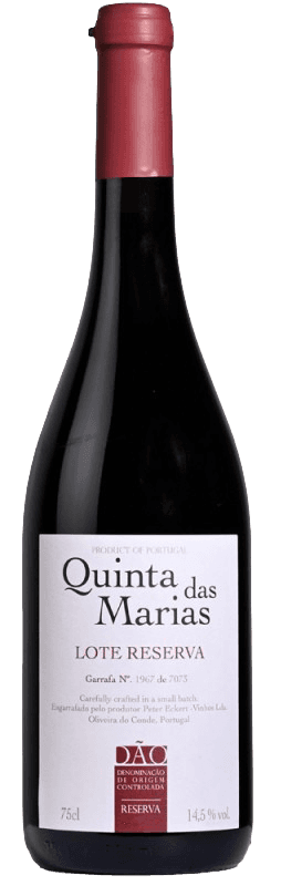 Lote Dão