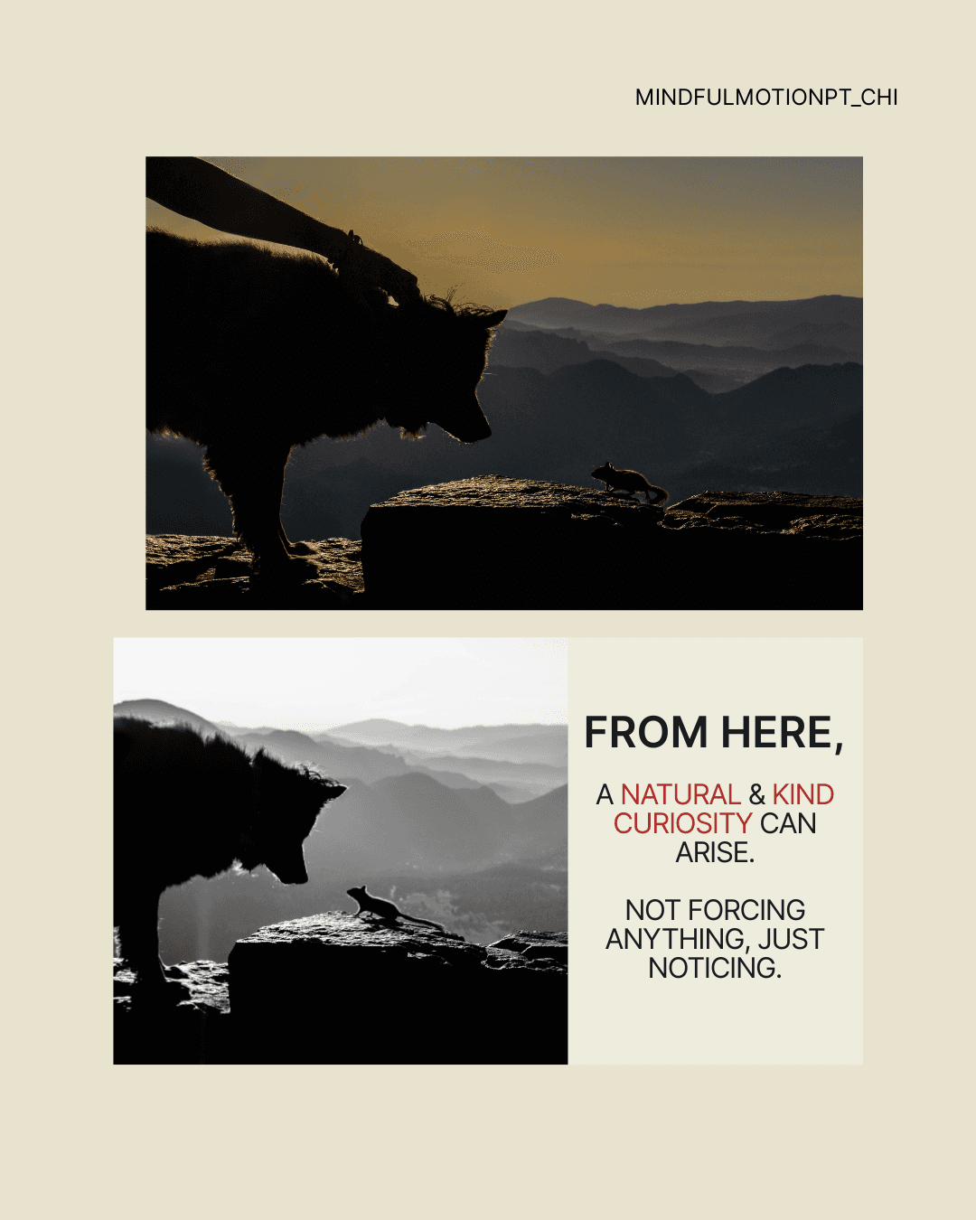 A dog watches a small animal on a mountain cliff at dawn, symbolizing how mindfulness and chronic pain work begin with gentle curiosity and non-forcing awareness.