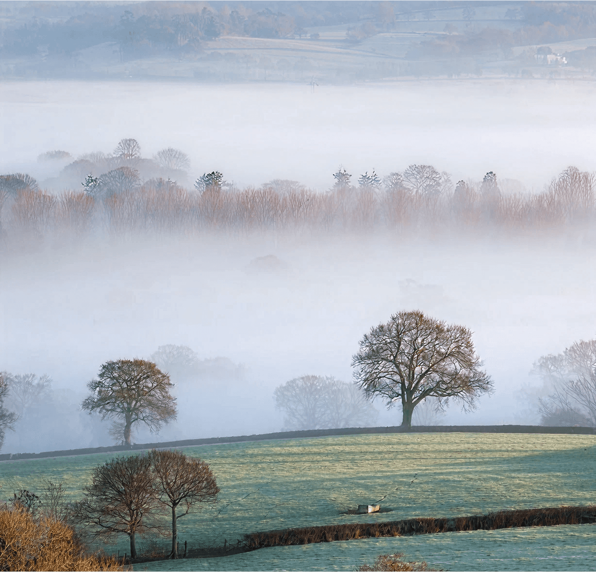 A misty countryside