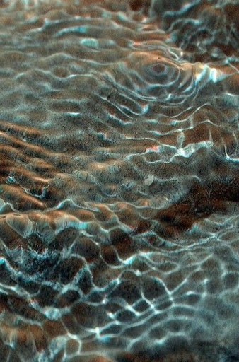 Fashion portrait photography