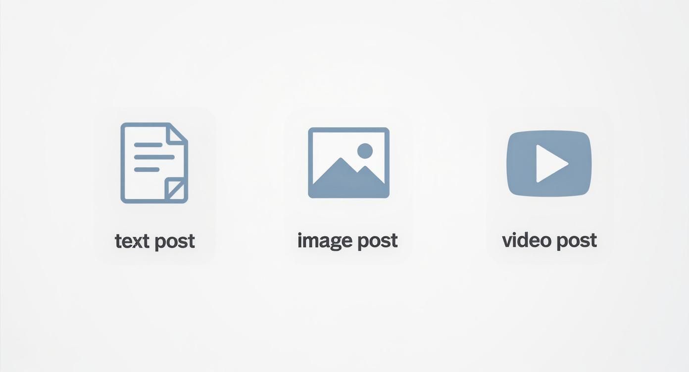 Infographic about linkedin posts specs