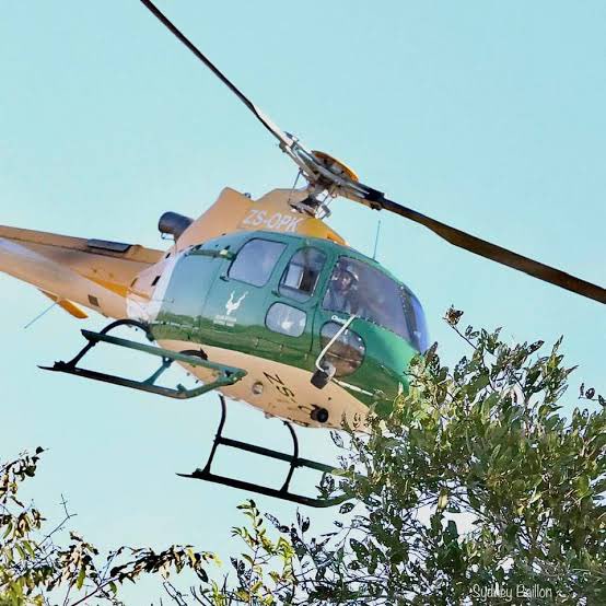 Photo:Missing helicopter in Kruger National Park found, crew safe – South African Daily