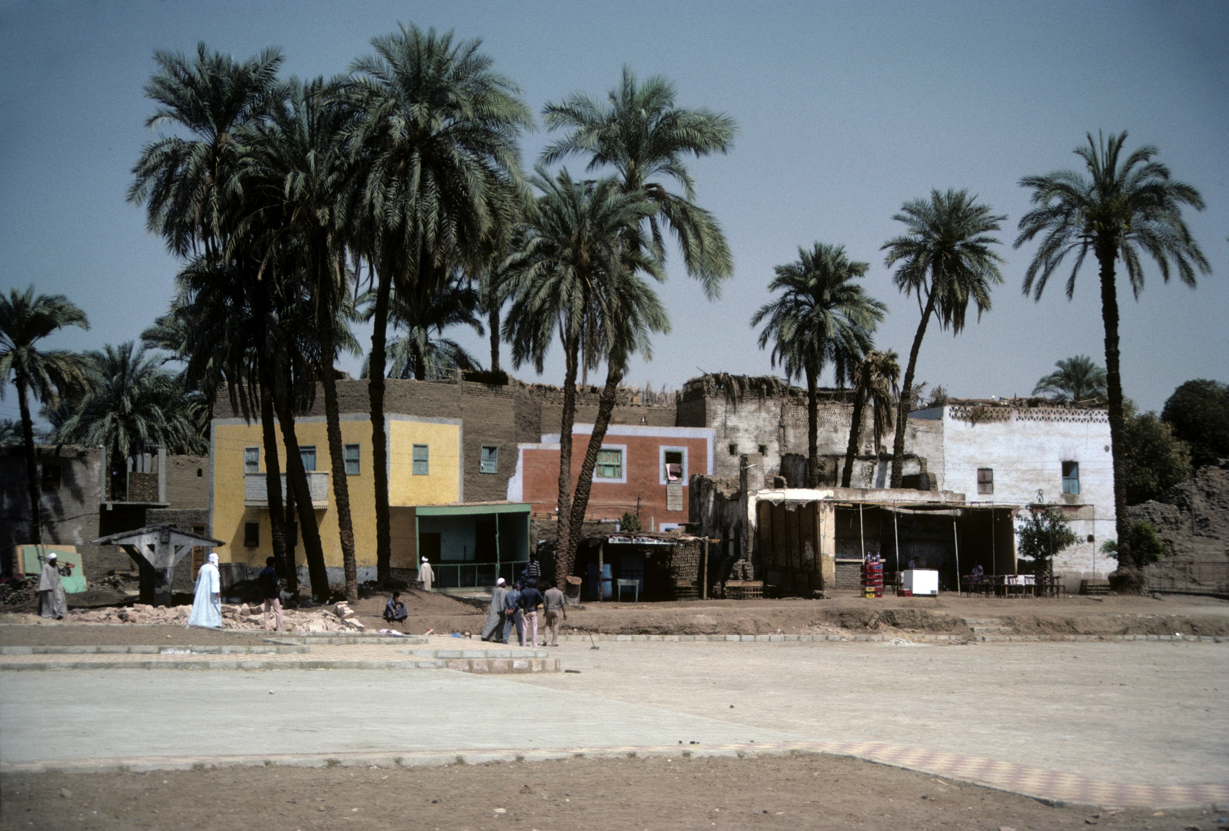 Green aurora lights in the sky at night