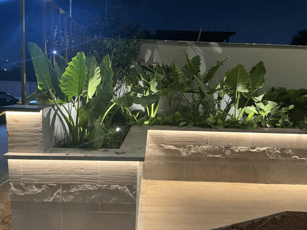 Villa - 86, Plants and lightings