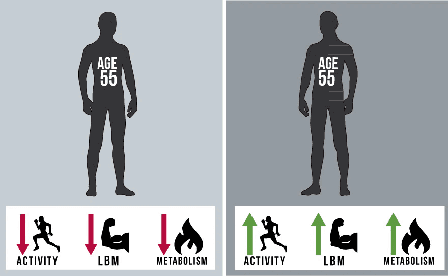 Illustration comparing two figures labeled with 'AGE 55.' The left figure shows decreasing activity, lean body mass (LBM), and metabolism, while the right figure indicates increasing activity, LBM, and metabolism. Each section features corresponding icons for visual representation.