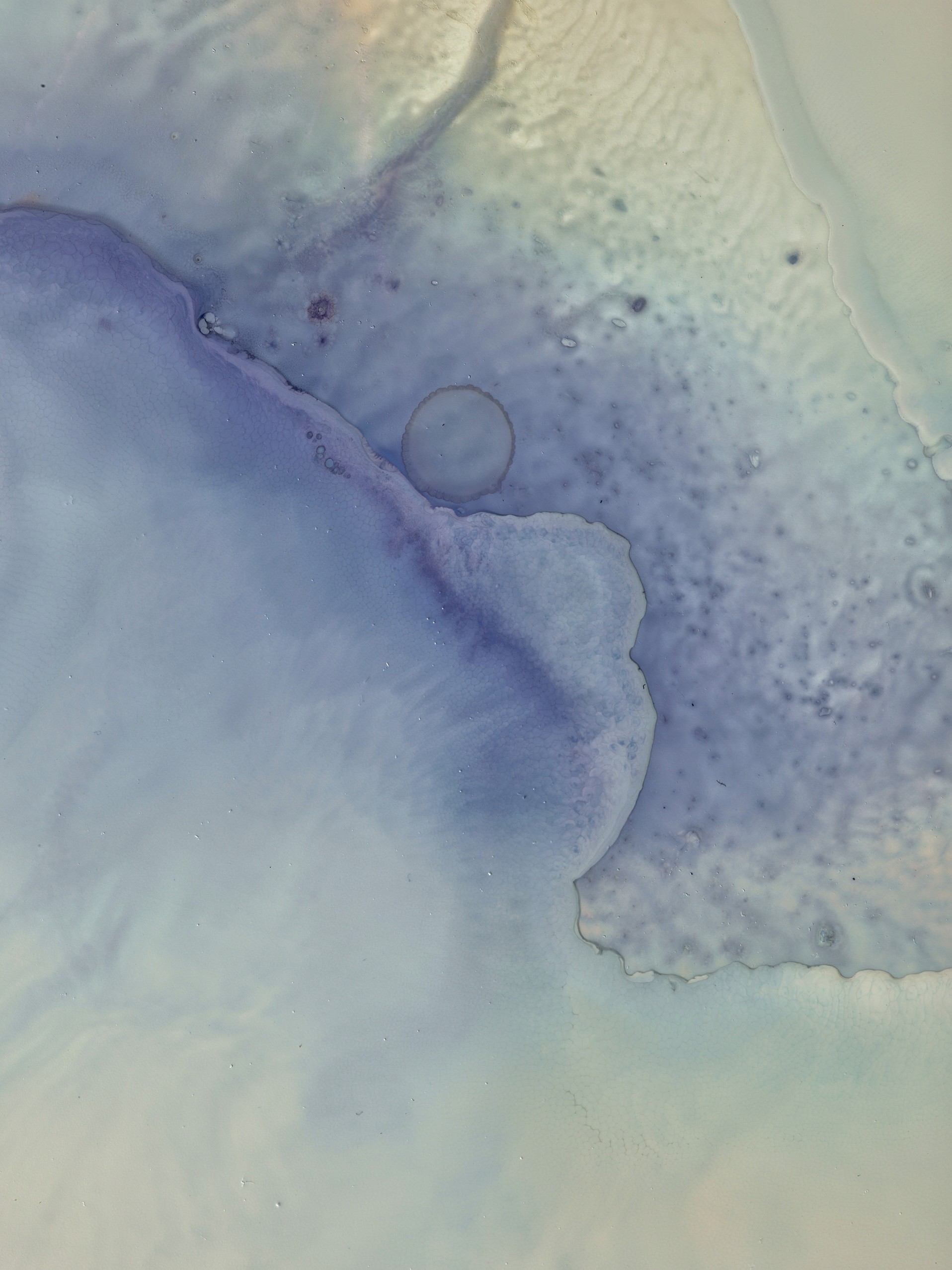 Echoes in&nbsp;Color Image #5