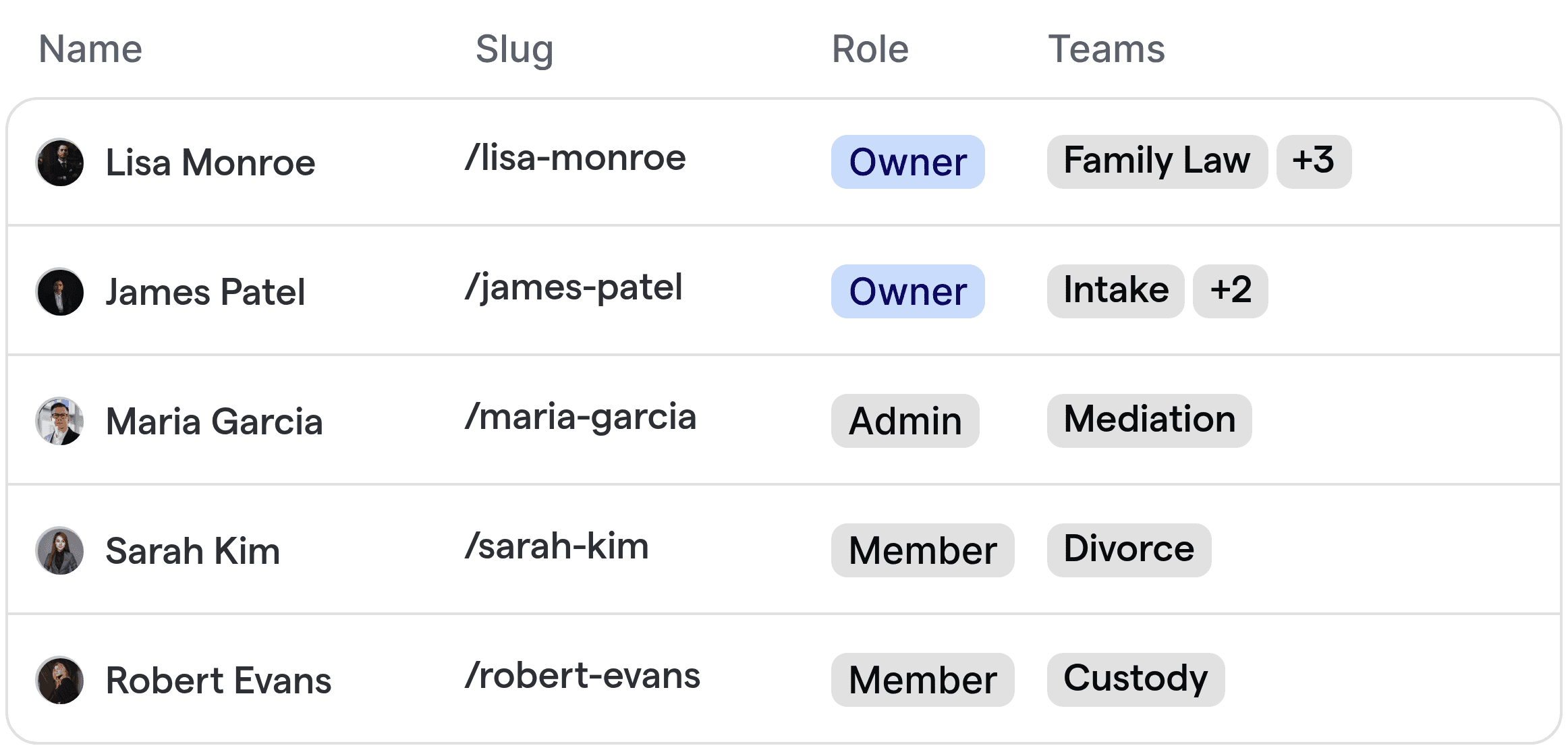 A team overview for a family law firm, with attorneys and paralegals organized by specialty.