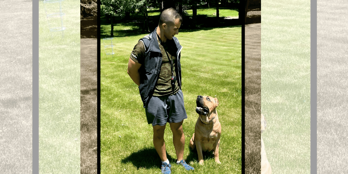 "Nick Bisharat, a skilled dog trainer, helping transform canine behavior with personalized training programs in Northeast Ohio."
